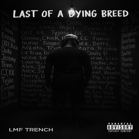 Last Of A Dying Breed album art