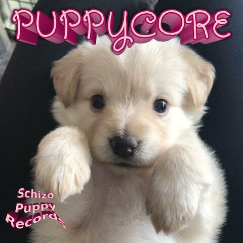 PUPPYCORE album art