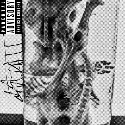 ? album art