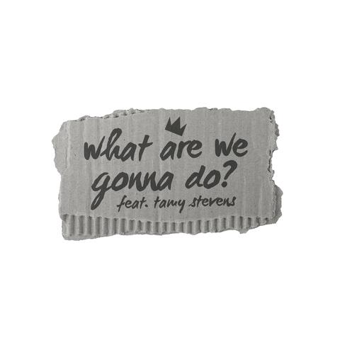 WHAT ARE WE GONNA DO? (feat. Tamy Stevens) album art