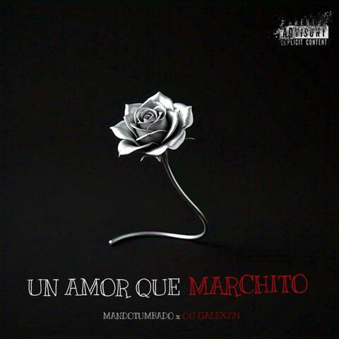 Un Amór Que Marchitó (feat. Og Galex721) album art