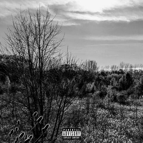 comeup album art