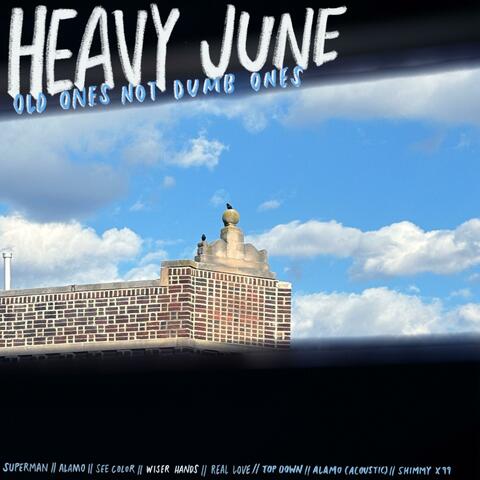 Old Ones Not Dumb Ones: Wiser Hands album art