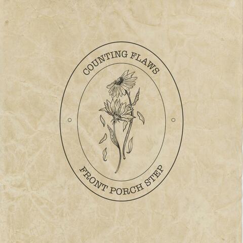 Counting Flaws album art