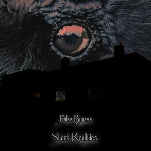 Stark Realities album art