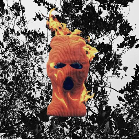 Head Is A Fire album art