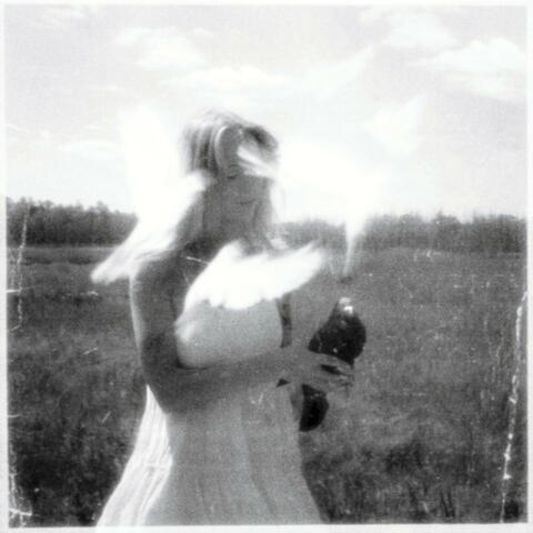 canofworms album art
