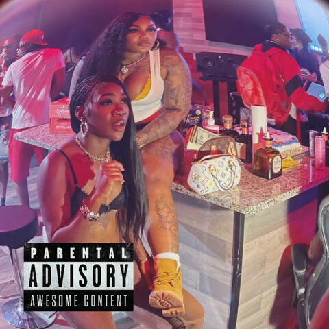 DUM WIT IT album art