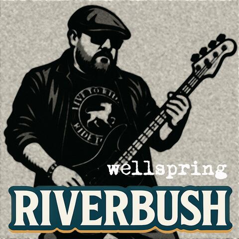 Wellspring album art