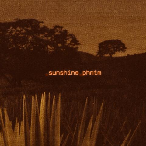 _SUNSHINE album art