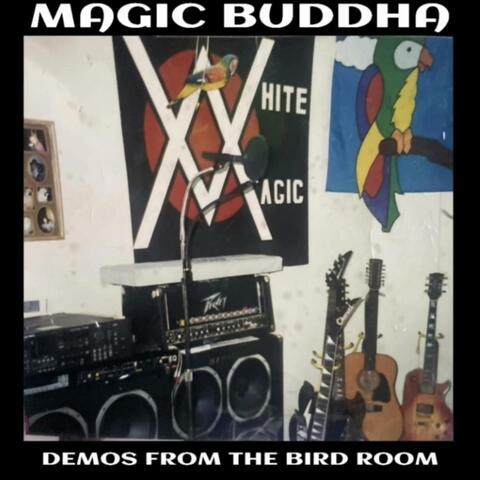Demos From the Bird Room album art
