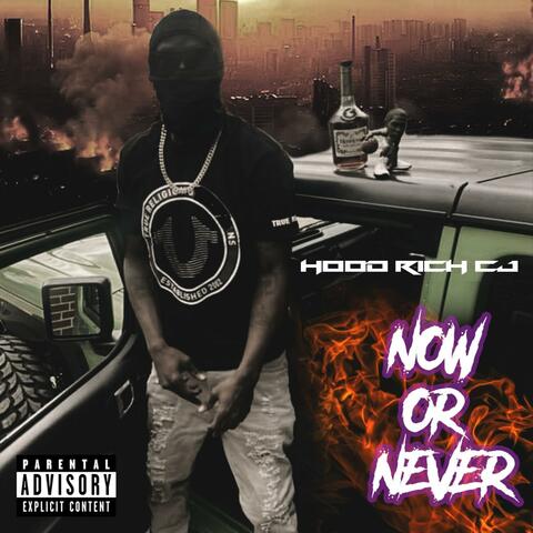 Now Or Never album art
