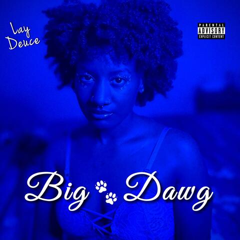 Big Dawg album art
