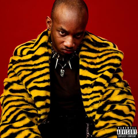 Pecking Order album art