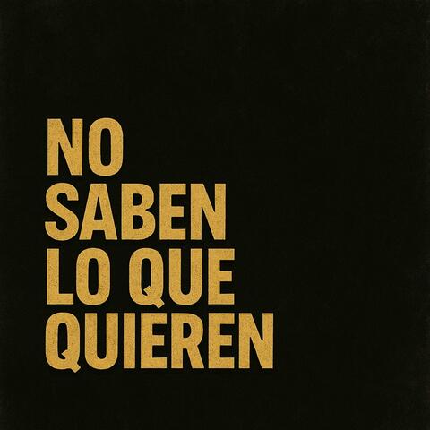 No saben lo que quieren album art