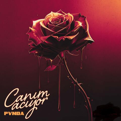 CANIM ACIYOR album art