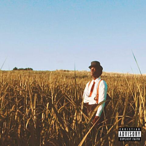 AGAIN? album art