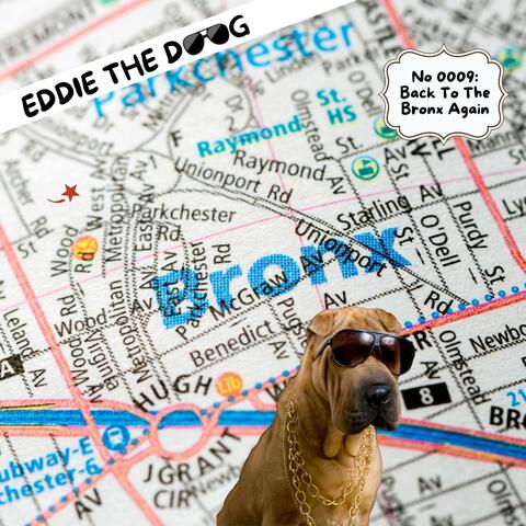 Back To The Bronx Again album art