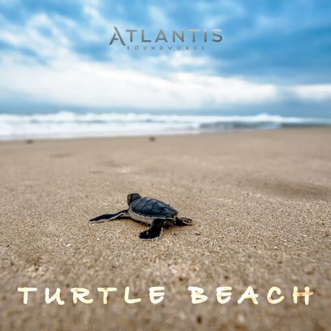 Turtle Beach album art