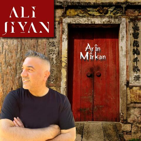 Arin Mirkan album art