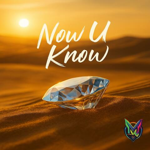 Now U Know album art