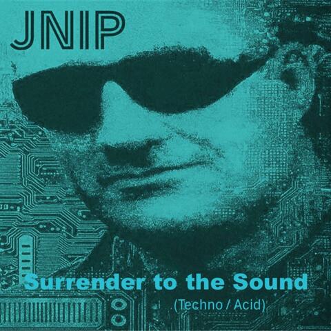 Surrender to the Sound (Techno / Acid) [10] album art