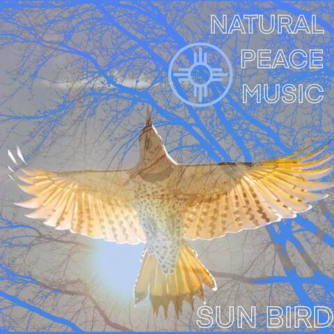 Sun Bird album art