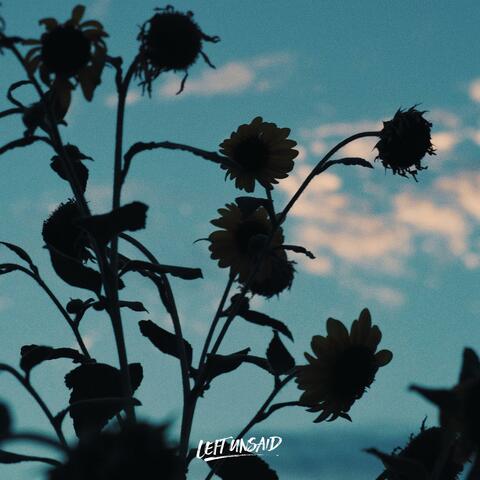 Say Things album art