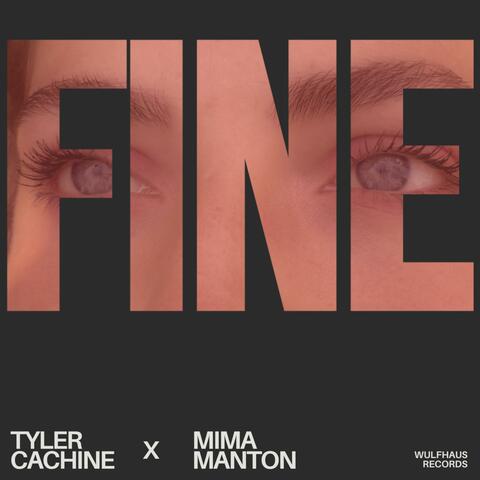 FINE album art
