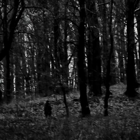 Hole in the Heart (Remastered) album art