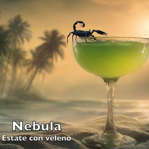 Estate con veleno album art