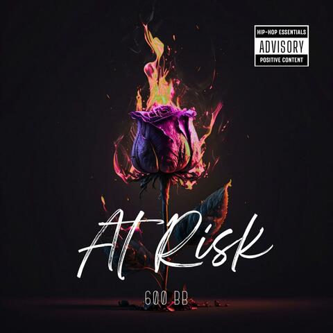 At Risk album art