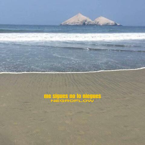 Me Sigues No Lo Niegues album art