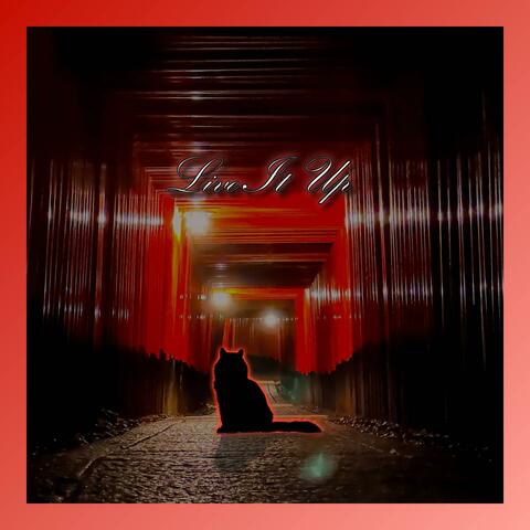Live It Up (Live) album art