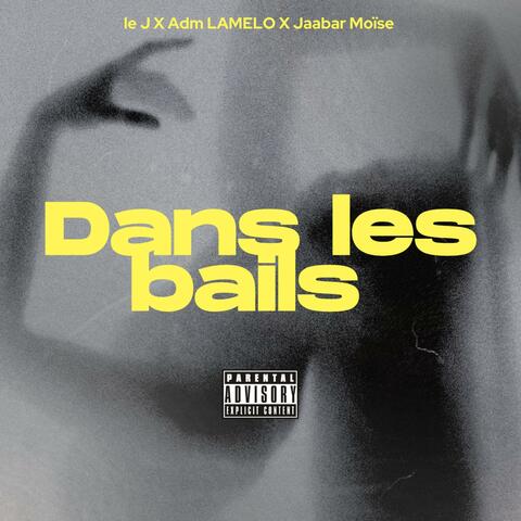 Dans les bails (feat. Le j & Jaabar Moïse) album art