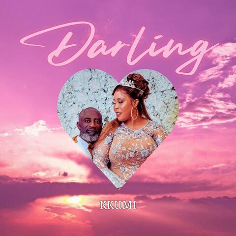 Darling (Instrumental ) album art