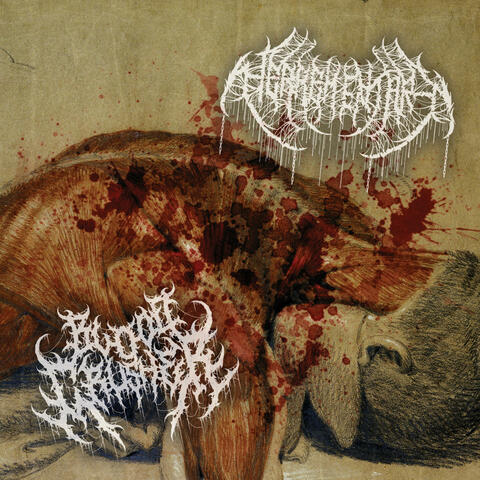 Split with BC album art