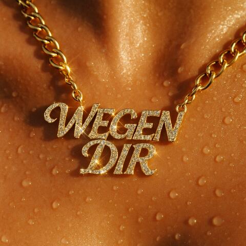 wegen dir <3 album art