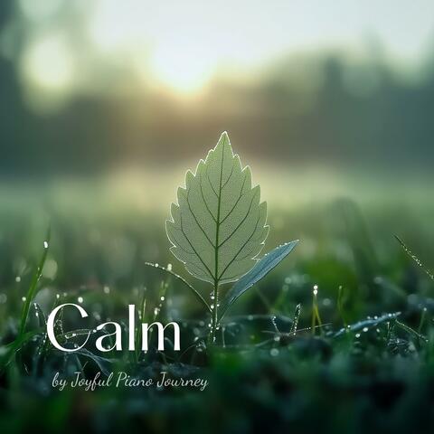 Calm album art