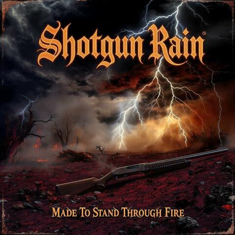 Made To Stand Through Fire album art