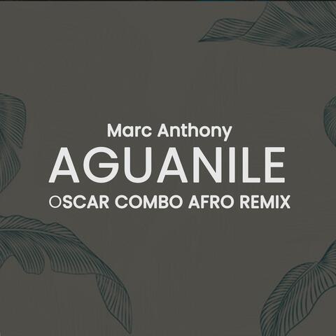 Aguanile Afro House (feat. Saavedra) album art