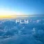 FLY album artwork