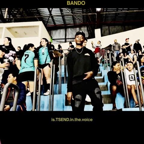 BANDO album art