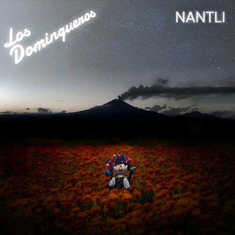 Nantli album art