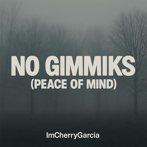 No Gimmiks (Peace of Mind) album art