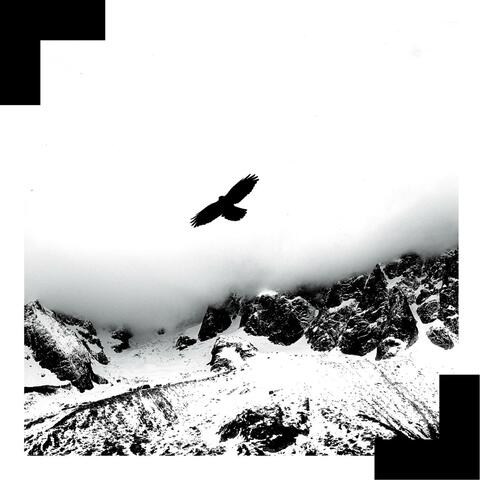 Tu NuMERO album art