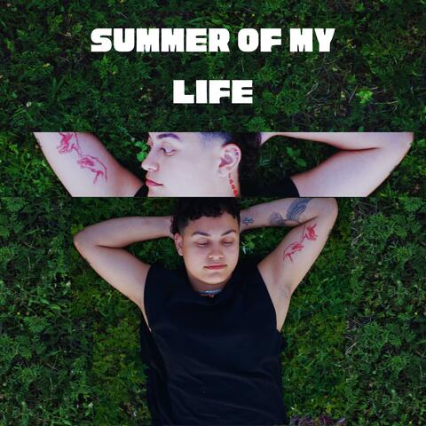 Summer of My Life album art