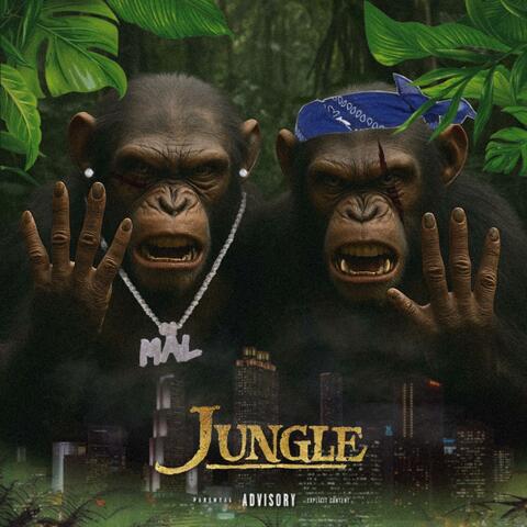Jungle (feat. Wicced) album art