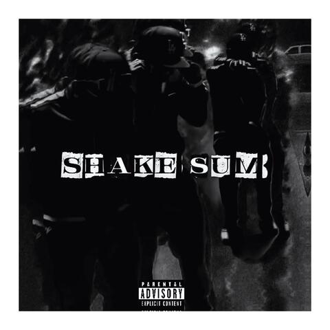 Shake Sum album art