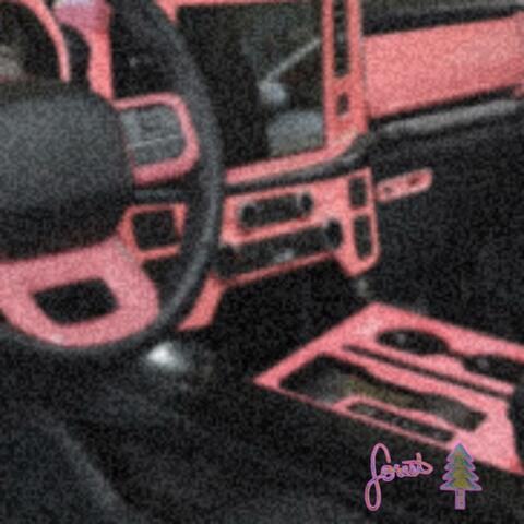 Pink Ford Fiesta album art